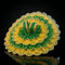 Green & Yellow