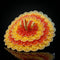 Red & Yellow